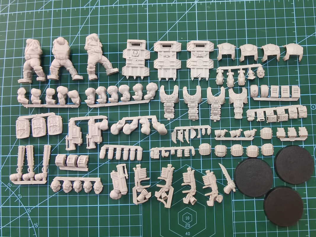 Astra Militarum Bullgryns/Ogryns/Nork Deddog - Image 2