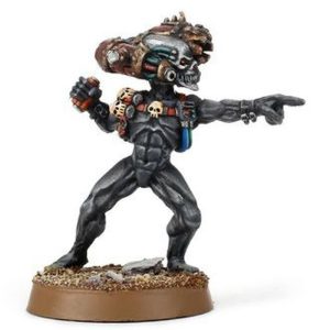 Assassinorum Culexus Assassin