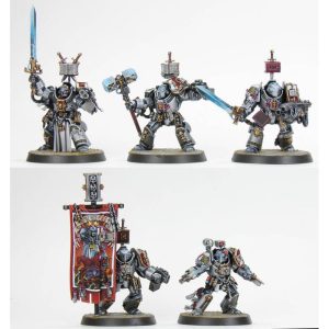 Grey Knights Paladins