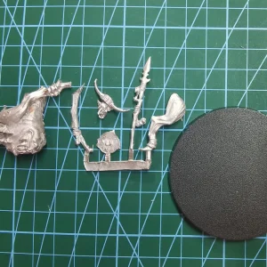 Goblin/Grot Spider Riders