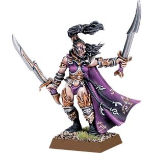 Dark Elf Dreadlord with additional Hand Weapon
