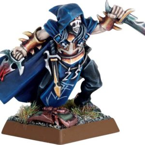 Dark Elf Assassin w/ 2 Blades