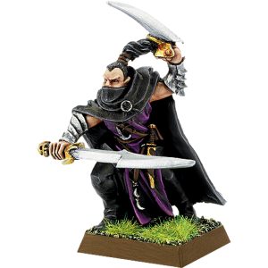 Shadowblade Dark Elf Assassin