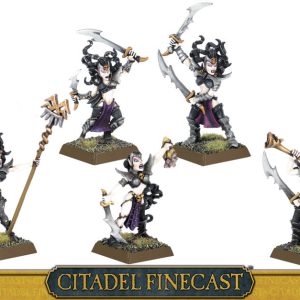 Old World Witch Elves Command