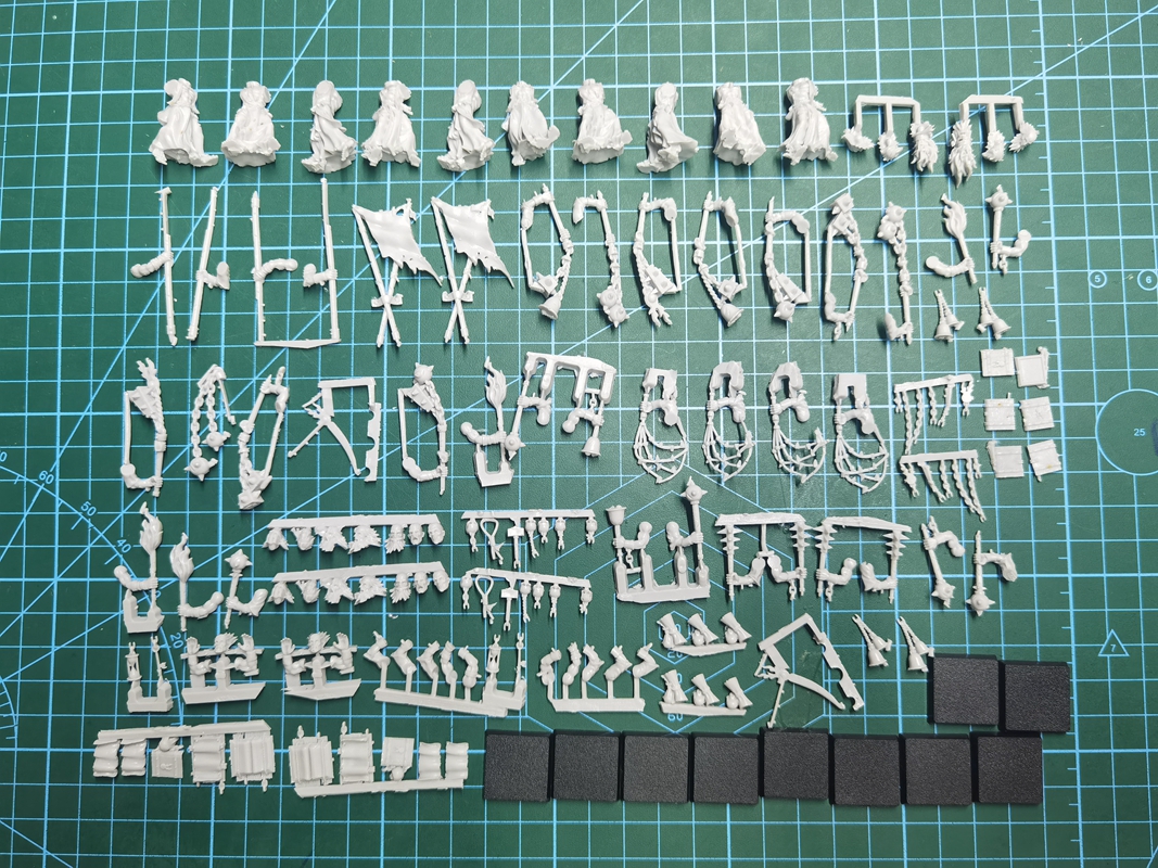 Cities of Sigmar Flagellants - Image 2