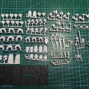 Fantasy Warriors of Chaos Regiment