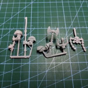 Fantasy Warriors of Chaos Regiment Upgrade Parts